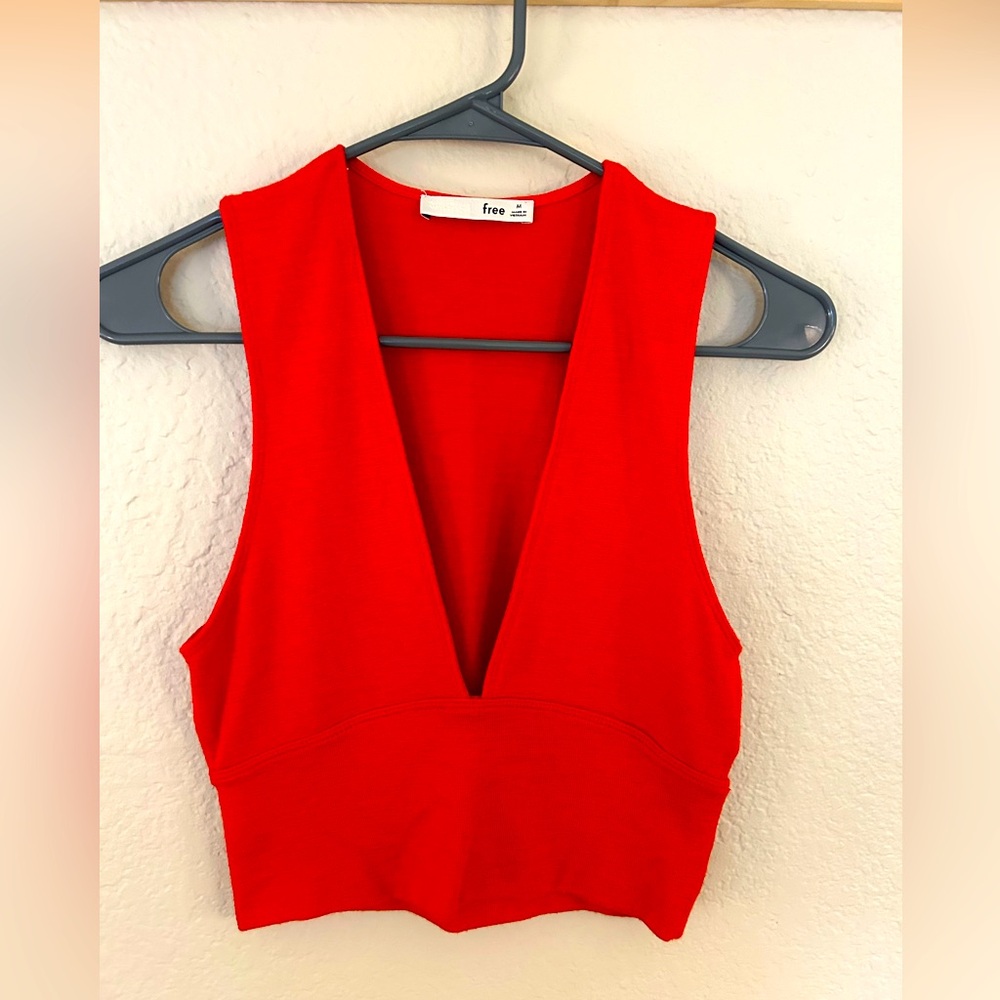 Wilfred free (Aritzia) plunge neck crop top